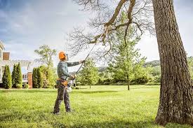 Trusted Rotonda, FL Tree Removal and Landscaping Services Experts